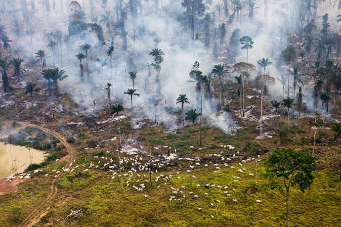 planet-pollution-overdevelopment-overpopulation-overshoot-8
